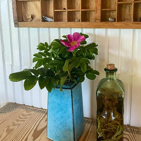 Charming Summer House With Wild Garden On Lolland Feriehus