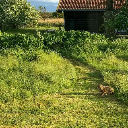 Charming Summer House With Wild Garden On Lolland *